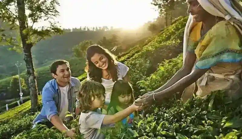 Best Kerala Family Tour