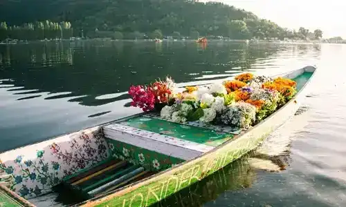 Vibrant flowers in the Mughal Gardens of Srinagar with mountains in background