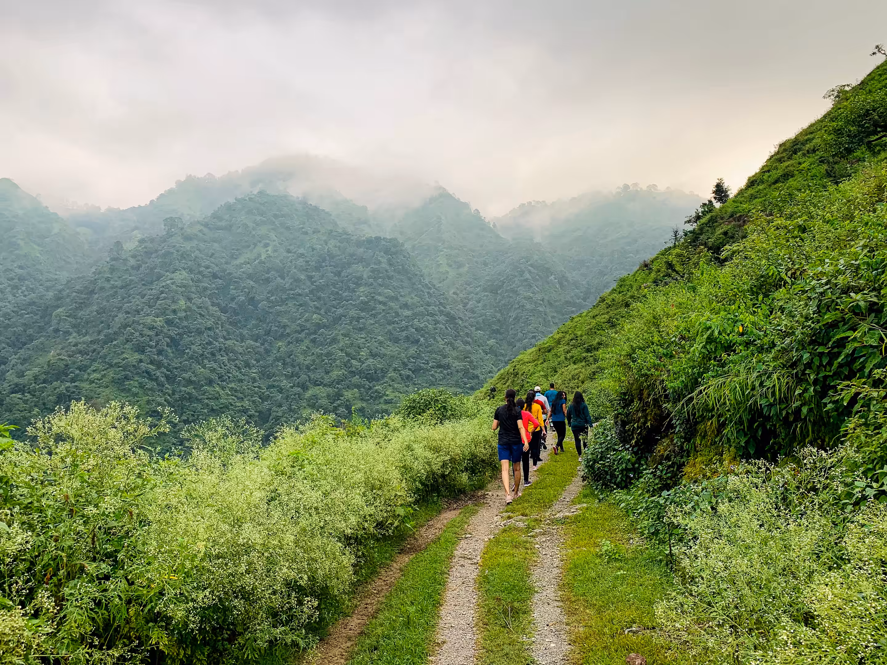 Sacred Paths of Uttarakhand