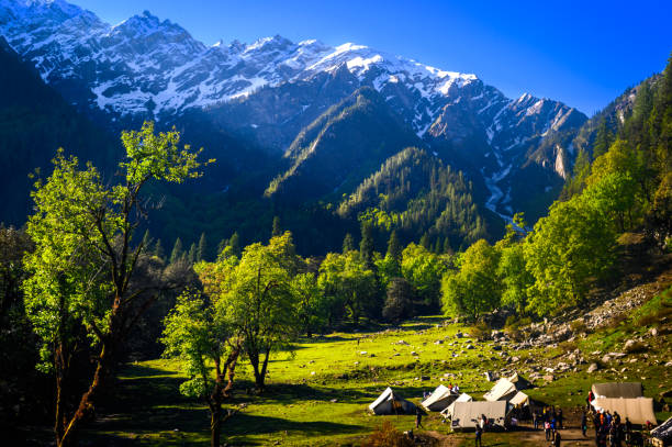 Travel Agents in Himachal Pradesh